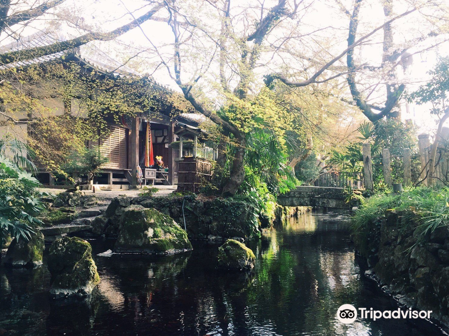 🏞️ 이사메노시미즈 (깨어나는 샘) 이미지 1